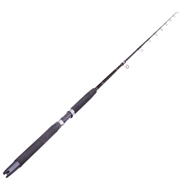 Tr200g & Auratus 8-10Kg Rod & Reel Overhead Boat Combo 