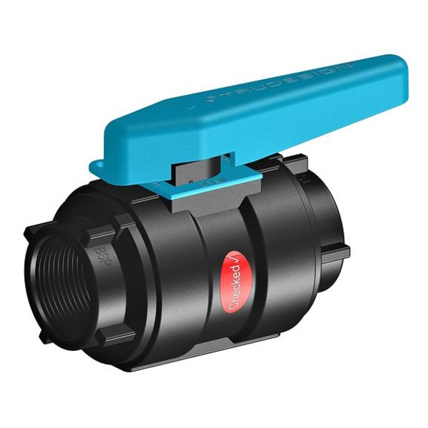 Ball Valve 2" Bsp Survey Standard 