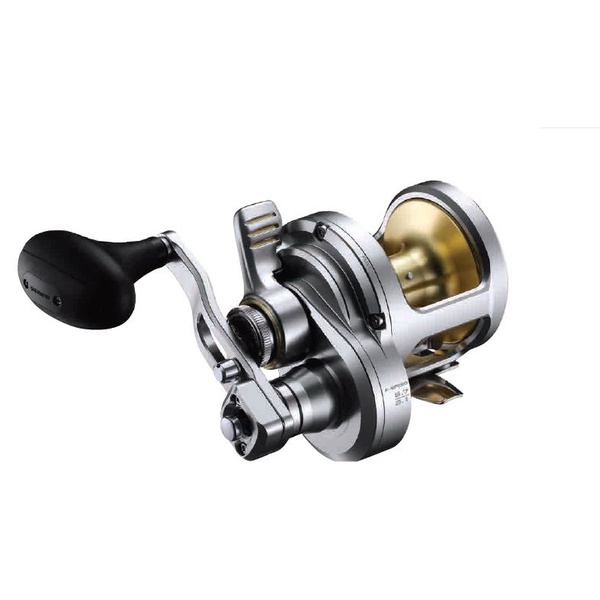 Talica 20 -2 Speed Overhead Lever Drag Boat / Jigging Reel 