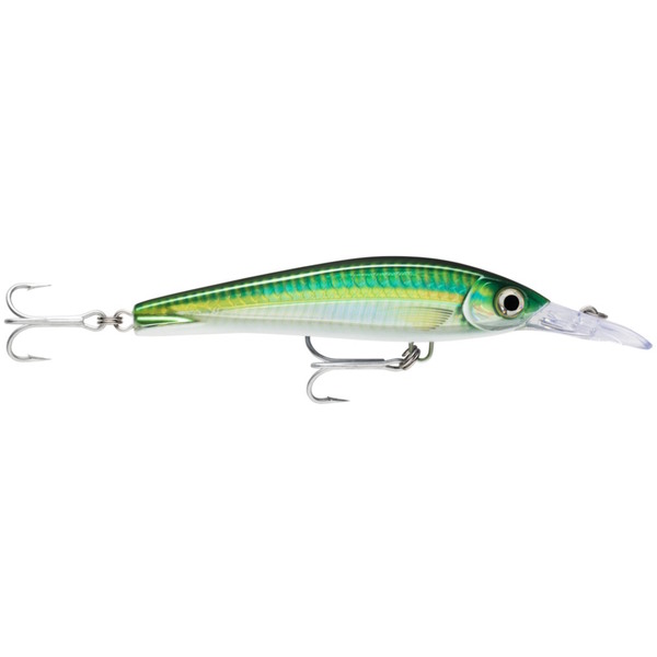 X-Rap Magnum Xtreme Bibbed Trolling Lure - 16Cm Bigeye Scad