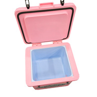 Cube Ice Box -25 Litre Pink