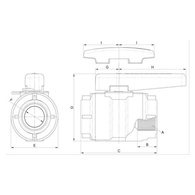 Ball Valve 2" Bsp Survey Standard 