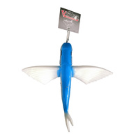 Teaser Flying Fish Single - Blue