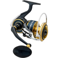 20 SALTIGA (G) 8000H Spinning Reel 