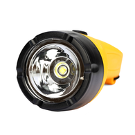 Waterproof Floating 50 Lumens Led Torch (2 X Aa Battery)