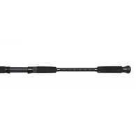 Tactical 1002Hfs Spinning Rock Rod 10Ft 2Pc / 8-10Kg