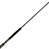 Tyrnos 30 2 Speed Reel With Blackout 24Kg Rt Game Rod